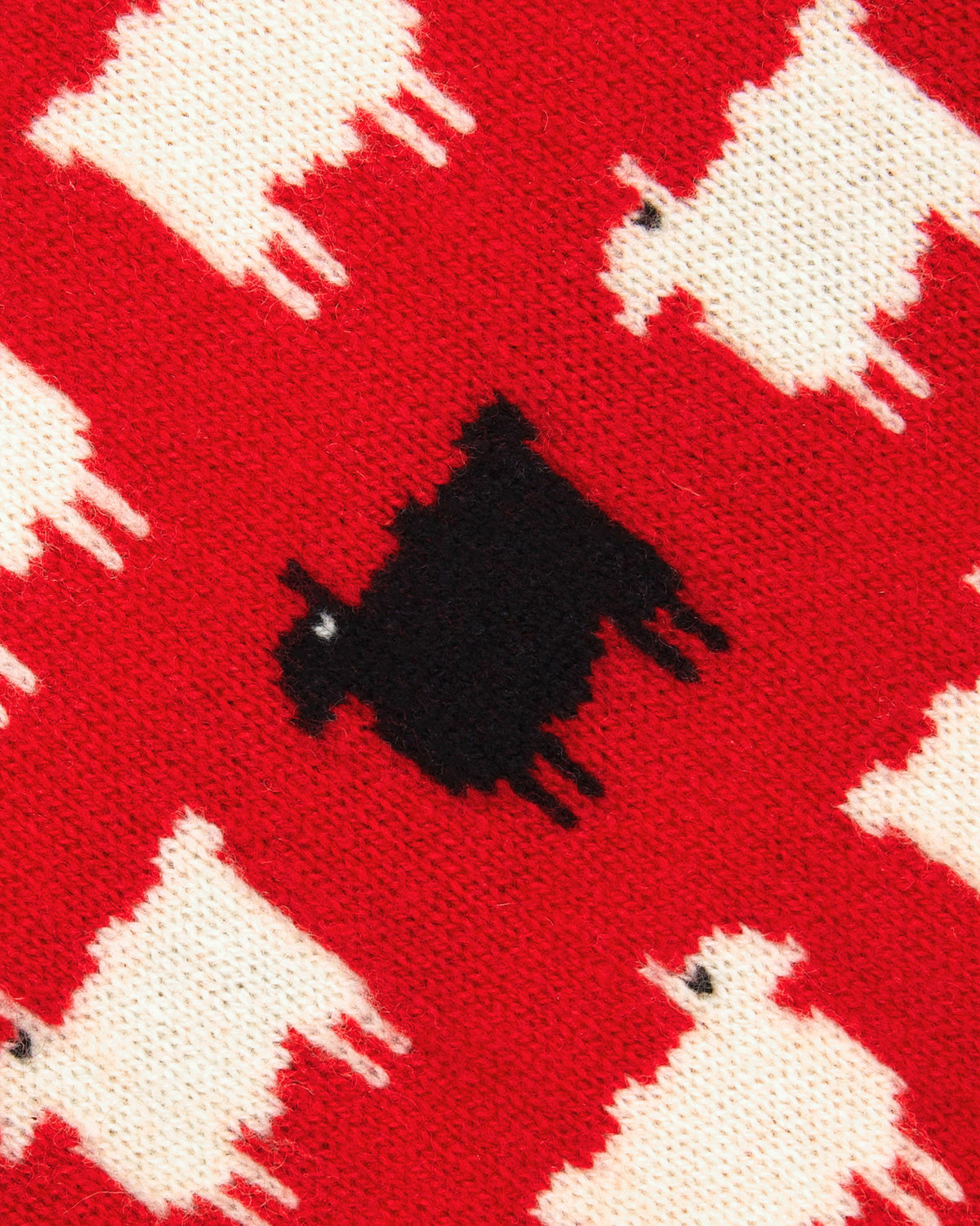 Wool Redm Warm & Wonderful Men's Wool