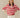 Cotton Sheep Color Block Rugby Red